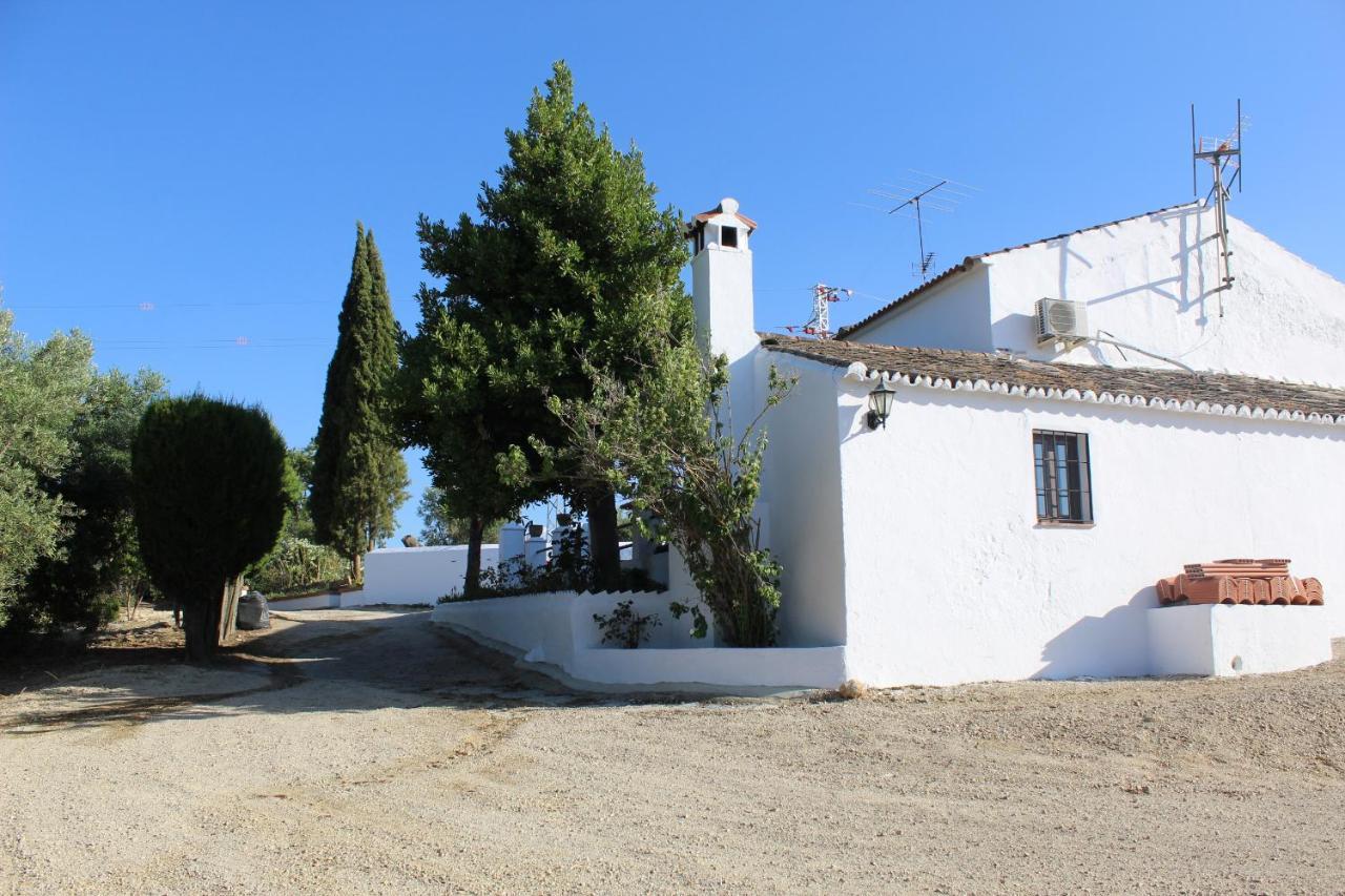 Casa Rural Faltriquera Setenil Setenil De Las Bodegas 外观 照片