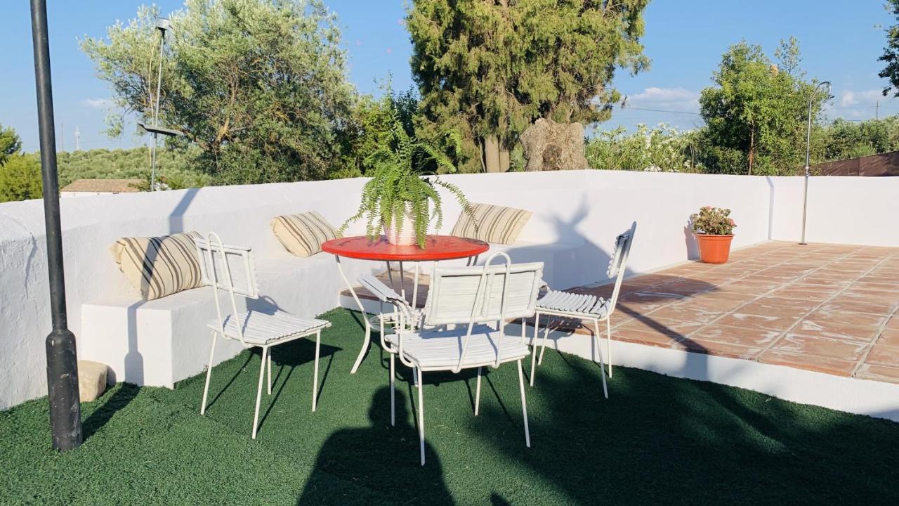 Casa Rural Faltriquera Setenil Setenil De Las Bodegas 外观 照片