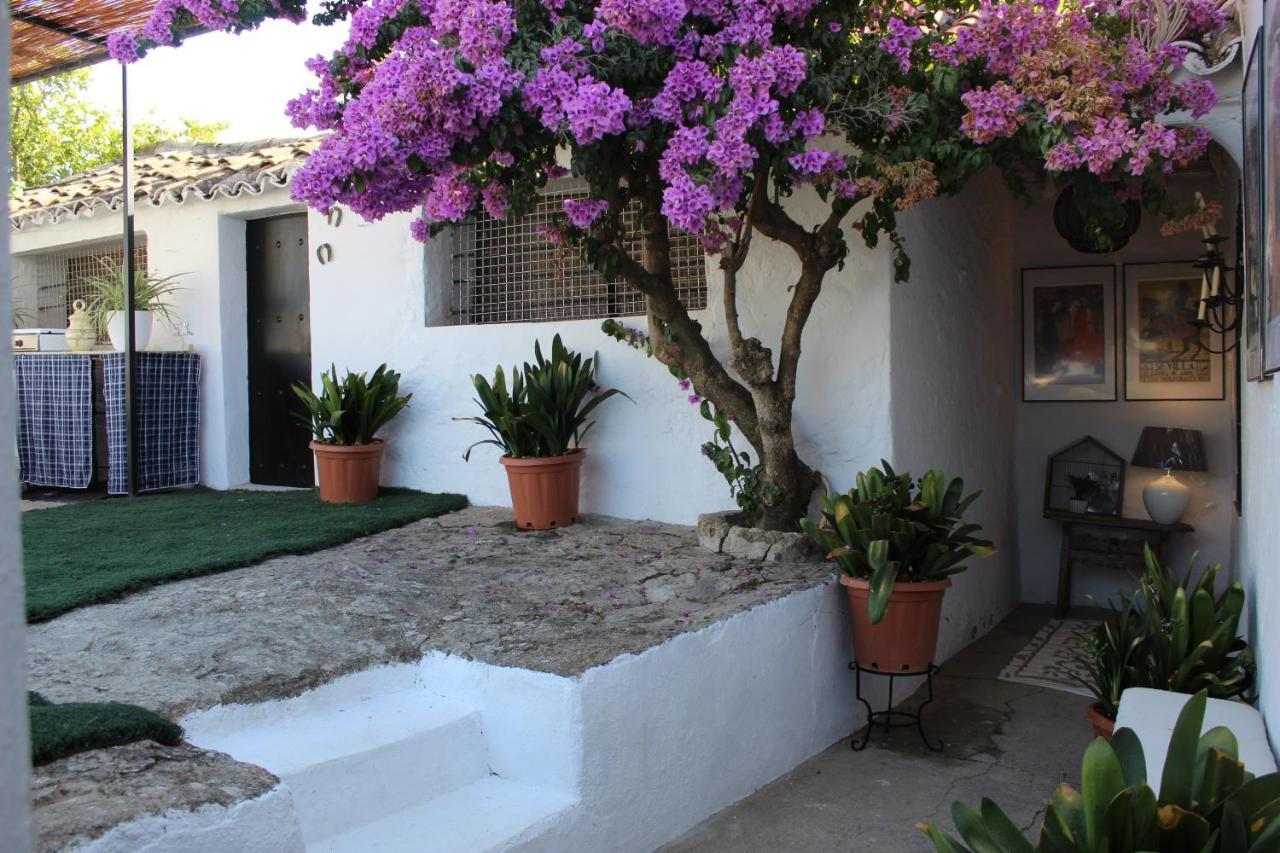 Casa Rural Faltriquera Setenil Setenil De Las Bodegas 外观 照片